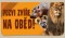 Pozvi zvíře ze ZOO Dvůr Králové na oběd