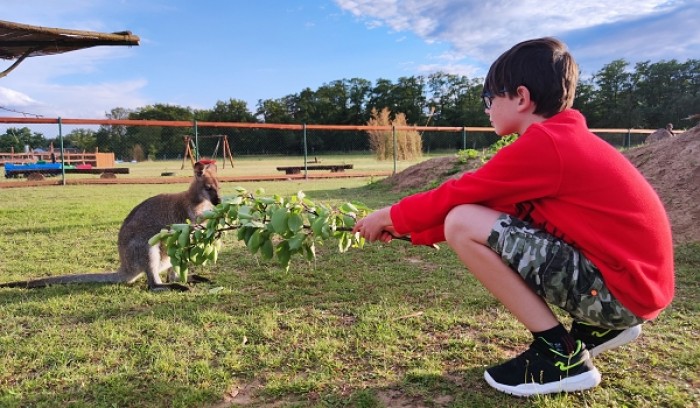 ZOO Zelčín Minizoo u Mělníka
