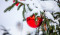 Vánoční kujebácký jarmark ve Vysokém Mýtě o stříbrné neděli