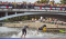 IRONMAN 70.3 HRADEC KRÁLOVÉ